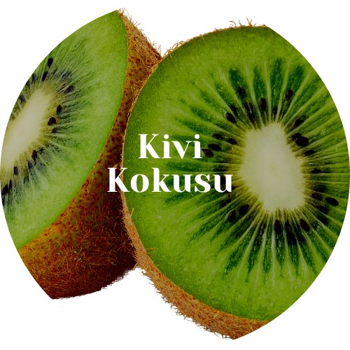 kalyon badge (1)